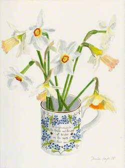 Jonquils and Daffodils