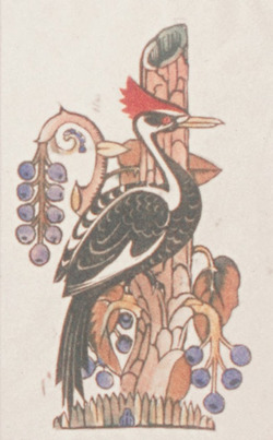 Woodpecker and Design of Berries