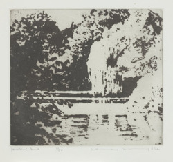 Jackson's Pond