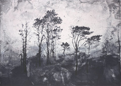 Untitled (3)