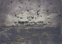 Untitled (6)