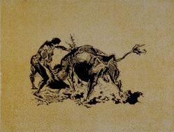 Bullfight 4