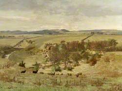 Ayrshire Landscape
