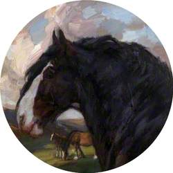 'Baron of Buchlyvie' Horse Portrait