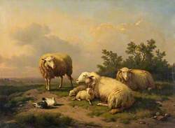 Landscape with Sheep and Ducks