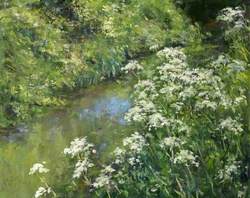Cow Parsley by a Stream