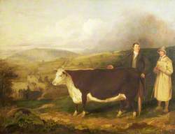 Mr Stanier and Herdsman with Hereford Heifer, with Buildwas Abbey and the Wrekin in the Background