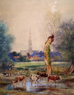 Cathedral from West Harnham