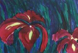 Scarlet Iris