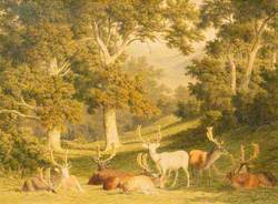 Fallow Deer in a Landscape