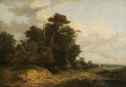 Landscape Scene in Norfolk