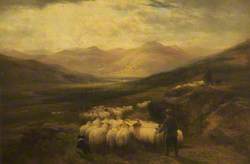Collecting the Flock