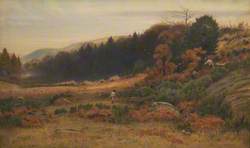 Autumn at Caerhun, Conway Valley