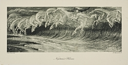 Neptune's Horses