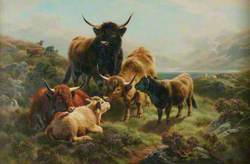 Morning, Loch Goil