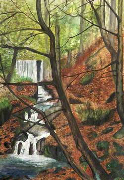 Woodland Waterfall