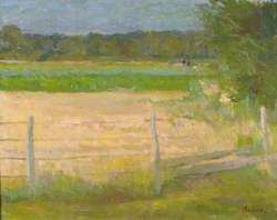 Corner of a Field, Hampshire