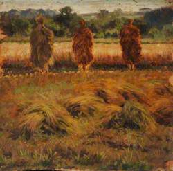 Hay Stooks in a Meadow