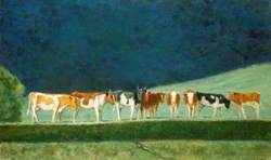 Group of Cows Grazing