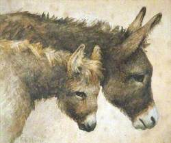 Heads of a Donkey and Foal