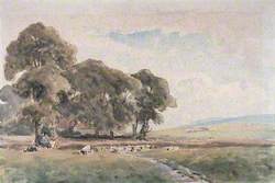 Sussex Scene