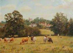 Cattle Grazing in Haydon Dell