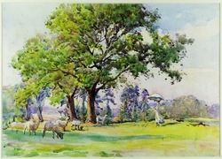 Trees with Sheep and Lady with Parasol