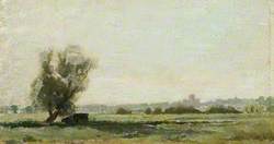 Study of St Albans from Sopwell Meadows