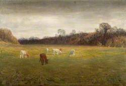 Fields by the River, Warham, Herefordshire