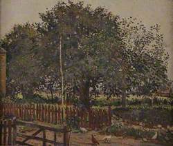 Orchard Scene
