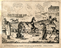 Effects of the Rail Road on the Brute Creation No. 4