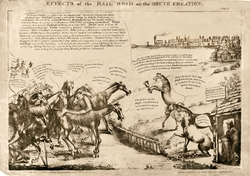 Effects of the Rail Road on the Brute Creation No. 2