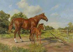 Horse and Foal