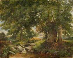 A Trout Stream near Worcester