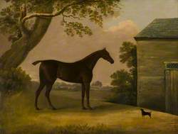 Bay Hunter and a Terrier outside a Stable