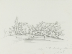 Bridge in the Shrubbery, Weston, July 20th