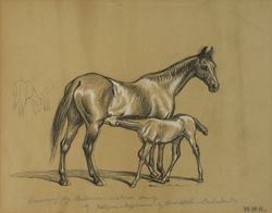 A Study of the Racehorse 'Duvenay' and Foal