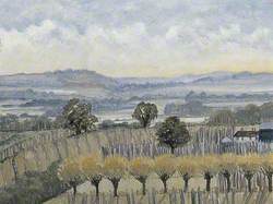 The Weald from Linton, Kent