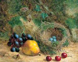 Still Life with Bird's Nest and Fruit
