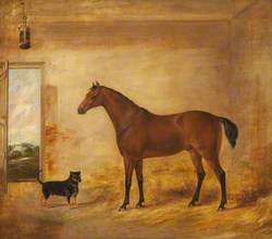 Horse and Dog in Stable