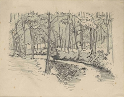 Woodland Stream