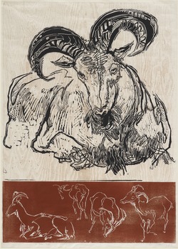 The Ram - No.27