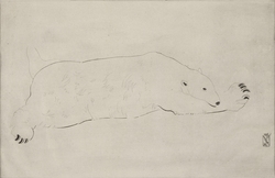 Polar Bear