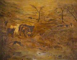 Moorland Scene