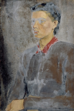 Portrait of a Girl Wearing a Brown Jersey and Red Collar