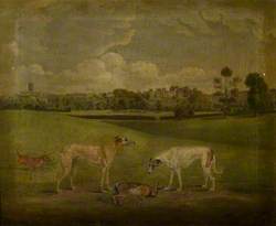 Two Greyhounds and a Hare