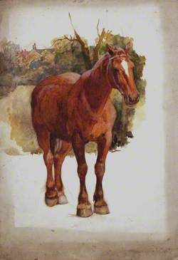 Study of a Brown Horse