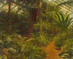 The Fernery at The Firs, Lee