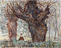 The Old Willow tree