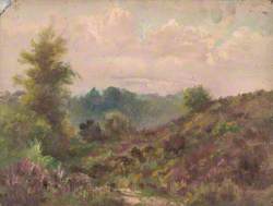 Addington Hills, Croydon, Surrey, July 1892